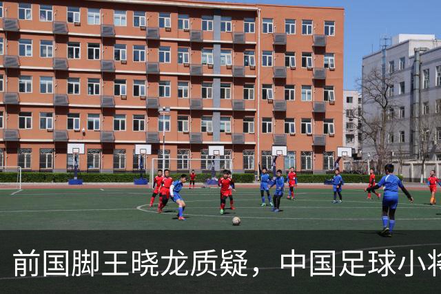 前国脚王晓龙质疑，中国足球小将的‘世界冠军’含金量几何？