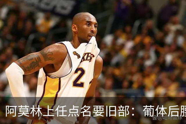 阿莫林上任点名要旧部：葡体后腰卖4500万，曼联放弃之人想转会